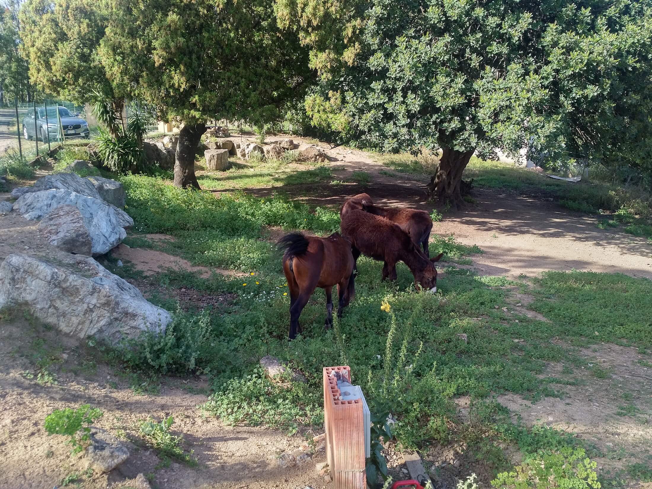 Spiaggia Capo Spartivento